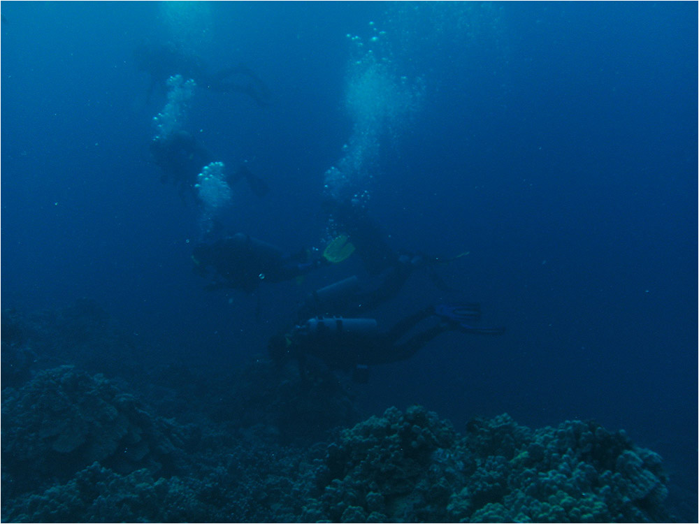 Divers below